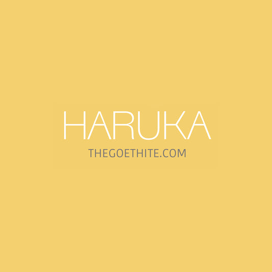 Payment - Hannah 1號