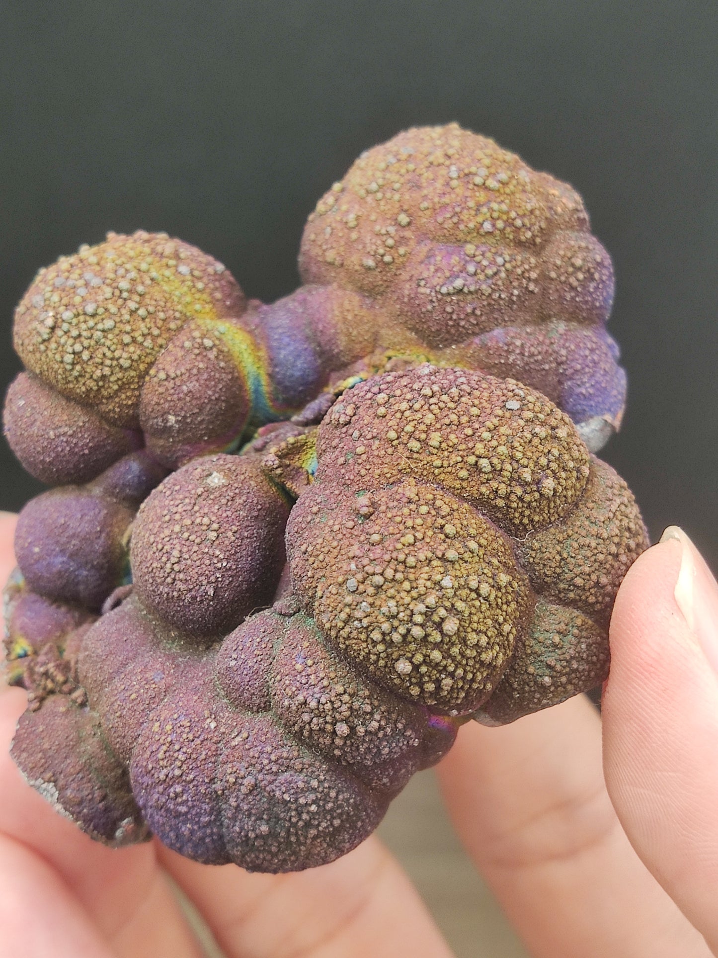 |  頂級 | 亞嚕家大佛珠  | 力泥活石 | 稀有 | 膽料 |