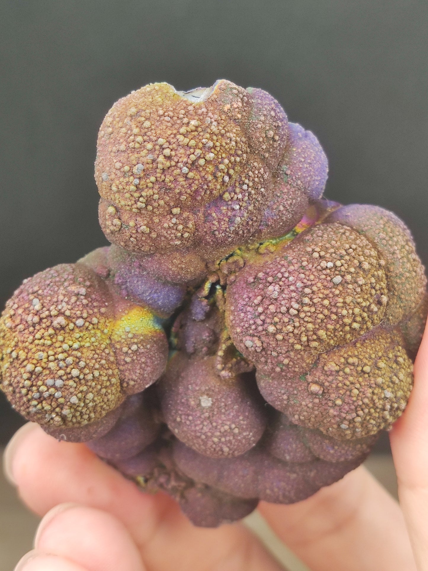 |  頂級 | 亞嚕家大佛珠  | 力泥活石 | 稀有 | 膽料 |