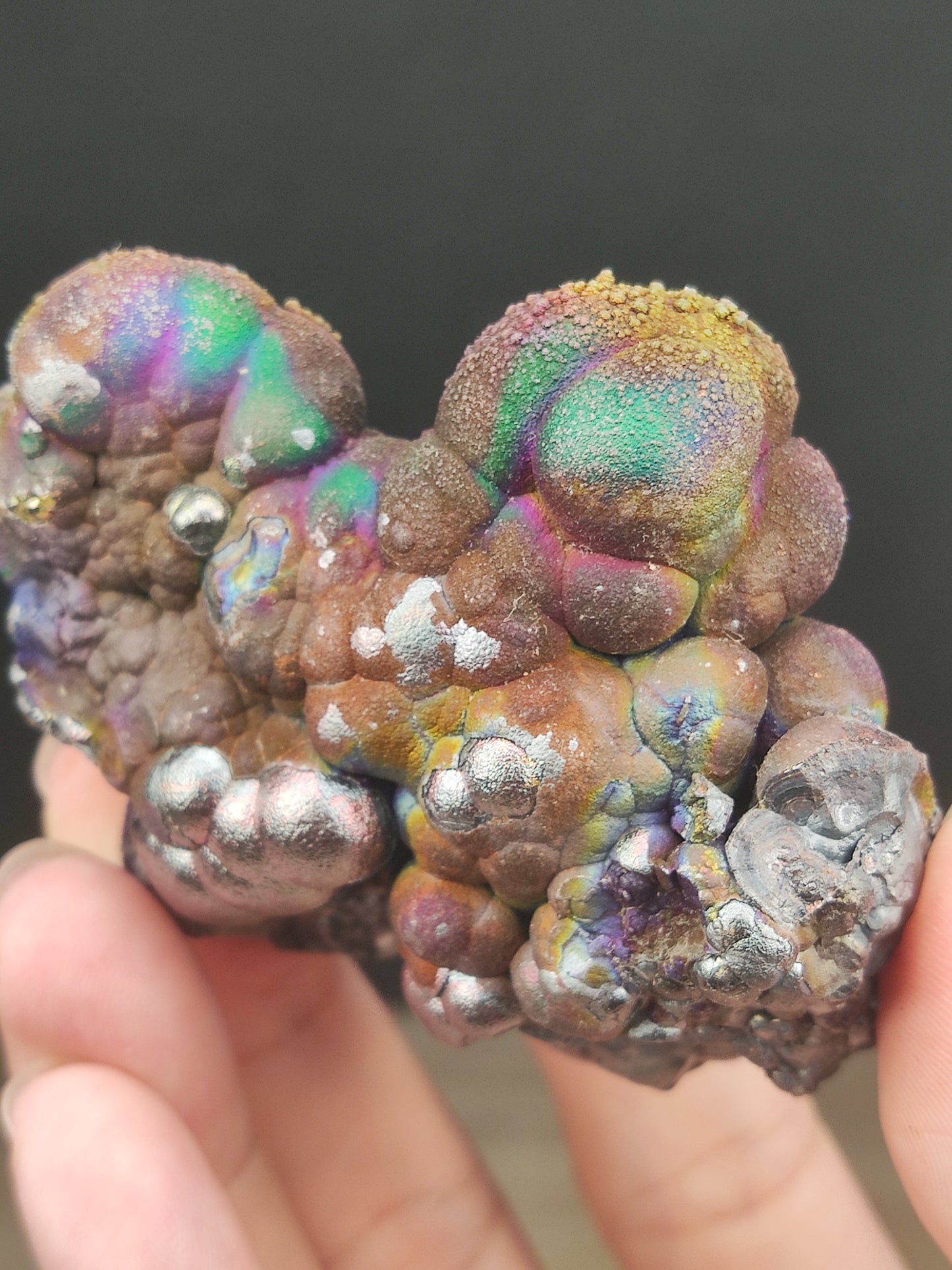 |  頂級 | 亞嚕家大佛珠  | 力泥活石 | 稀有 | 膽料 |