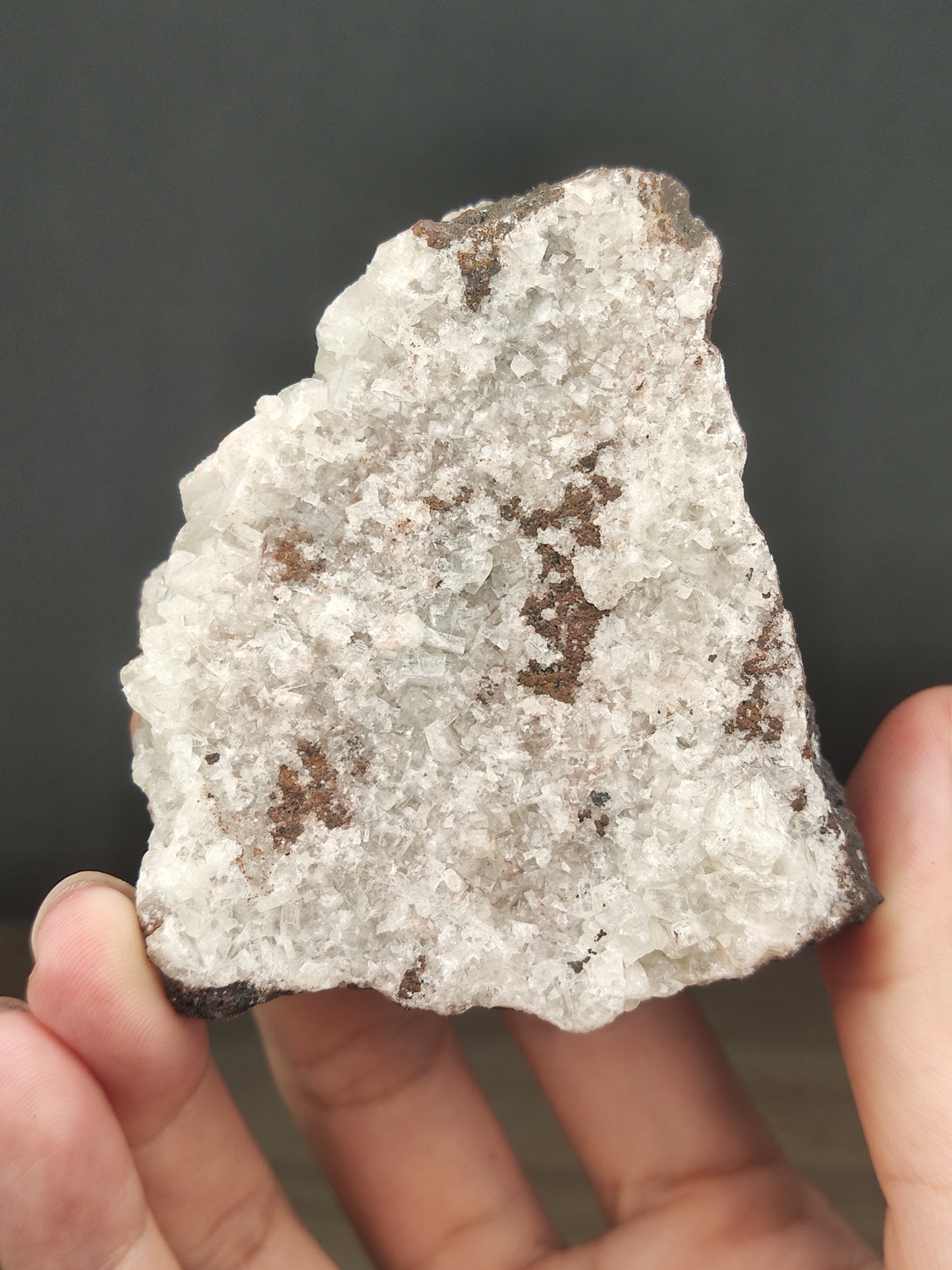 | 頂級 | 水晶力泥 | 力泥 | 稀有 | 滿牙  |