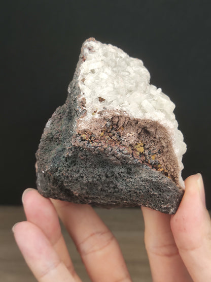 | 頂級 | 水晶力泥 | 力泥 | 稀有 | 滿牙  |