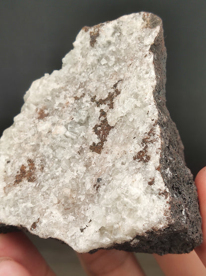 | 頂級 | 水晶力泥 | 力泥 | 稀有 | 滿牙  |