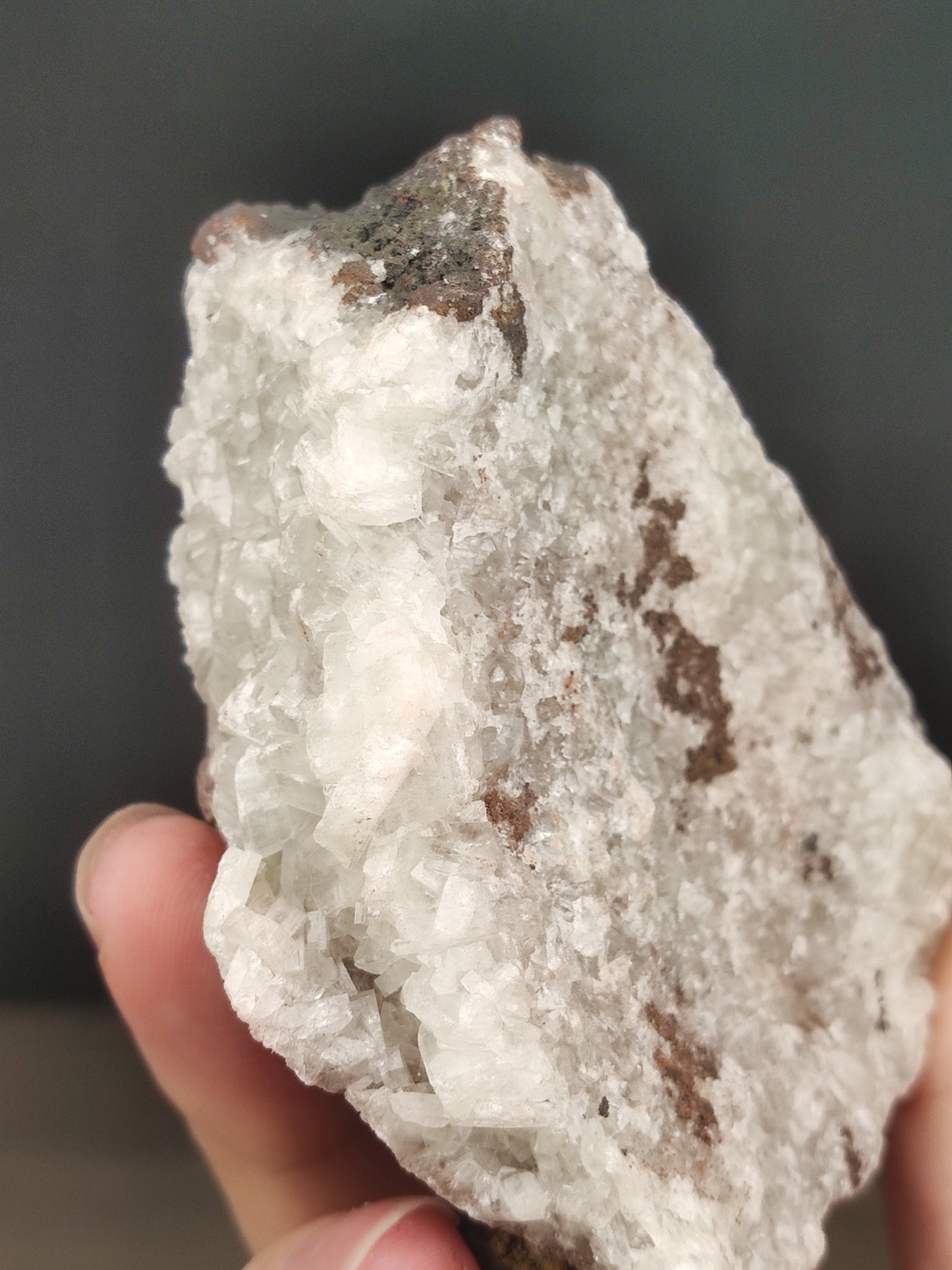 | 頂級 | 水晶力泥 | 力泥 | 稀有 | 滿牙  |