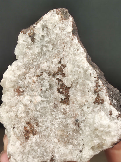 | 頂級 | 水晶力泥 | 力泥 | 稀有 | 滿牙  |