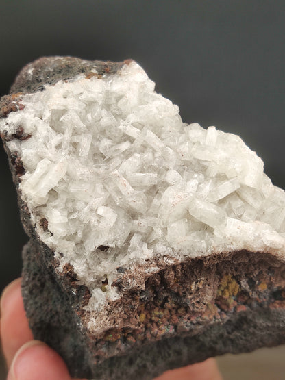 | 頂級 | 水晶力泥 | 力泥 | 稀有 | 滿牙  |