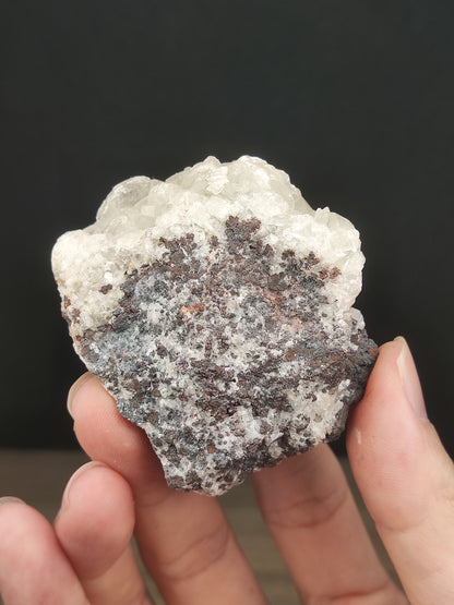 滿牙大牙水晶力泥 | 剛柔並濟能量顯化 | 穩固財庫、淨化負能與思維突破 | 閃耀水晶牙原石擺件 | 馬來西亞力泥