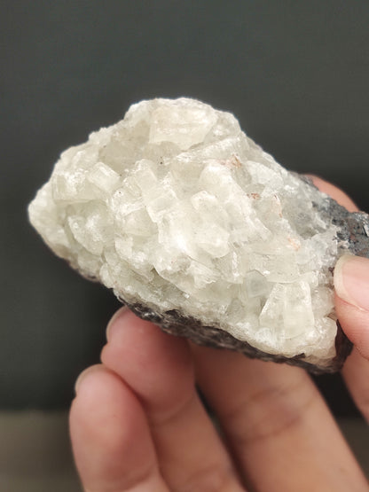滿牙大牙水晶力泥 | 剛柔並濟能量顯化 | 穩固財庫、淨化負能與思維突破 | 閃耀水晶牙原石擺件 | 馬來西亞力泥