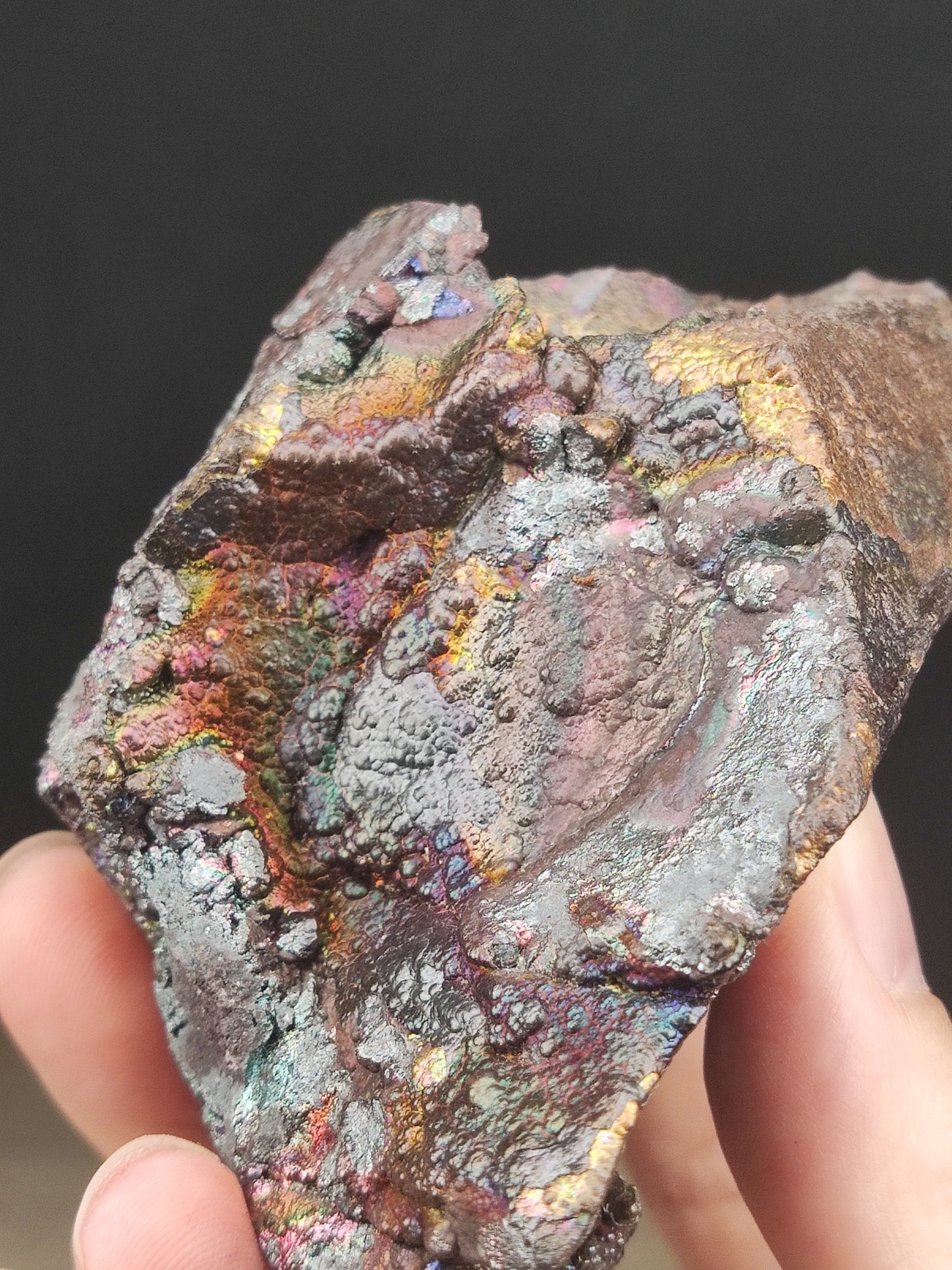 | 收藏級 | 金方解 | 膽料 | 力泥活石 |