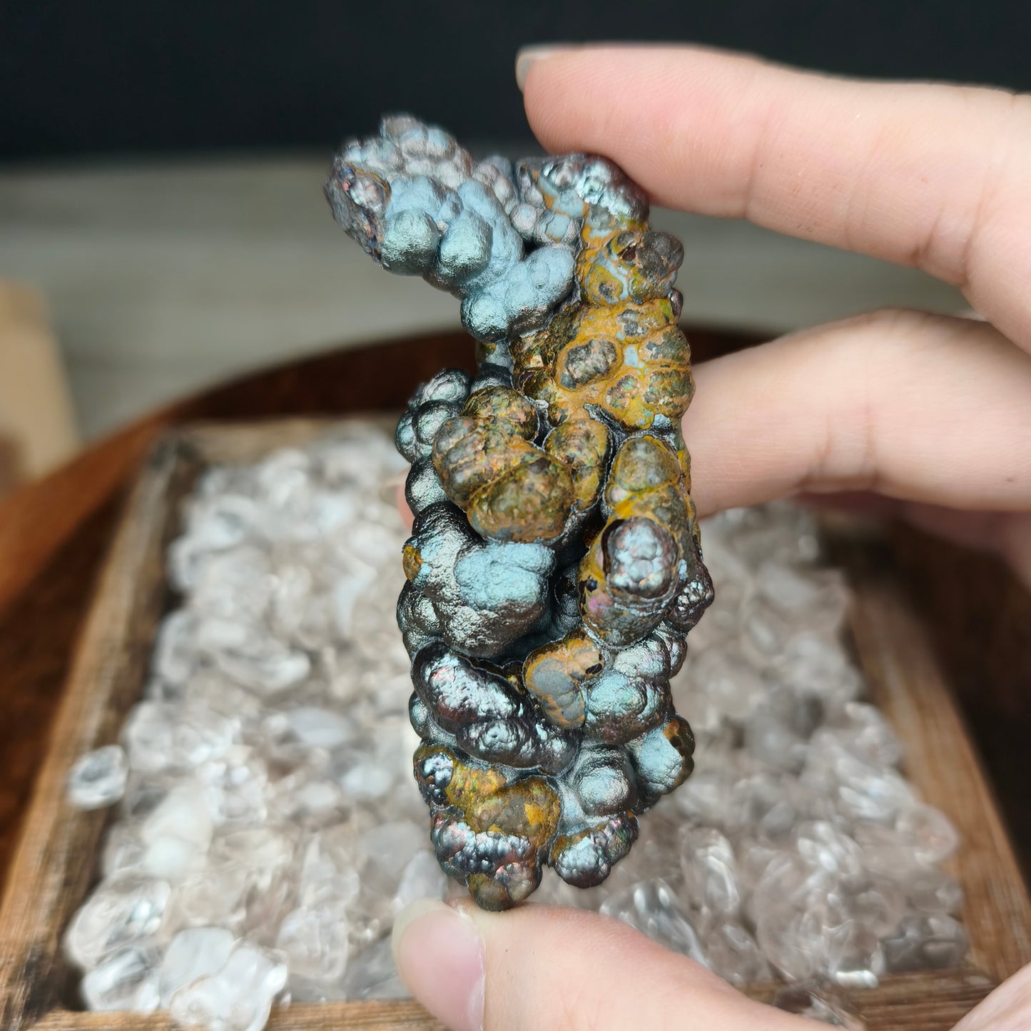 Gold Silver Pillar Seahorse | Natural Gold & Silver | Wealth Luck & Career Breakthrough