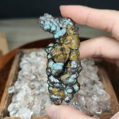 Gold Silver Pillar Seahorse | Natural Gold & Silver | Wealth Luck & Career Breakthrough