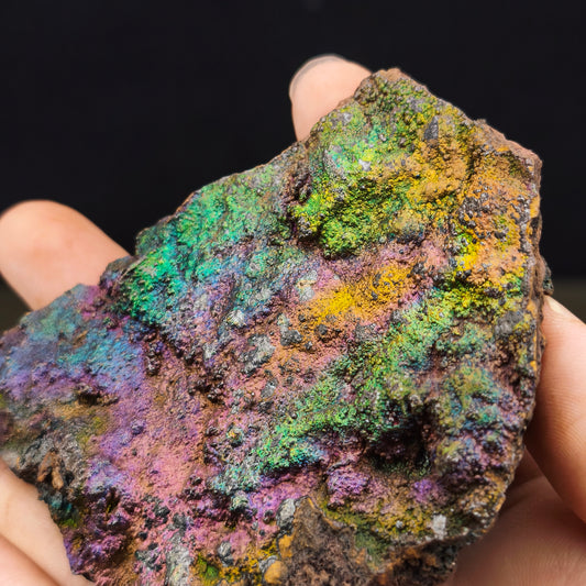 | 頂級 | 七彩力泥活石 | 力泥活石 |