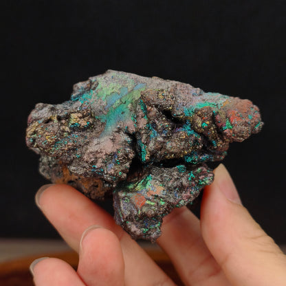 "Premium" Silver Leklai | Silver Shell Intensely Blooming Green, Blue & Gold (Approx. 7*3*5cm) | High-Level Symbiosis | Absolute Magnetic Shielding, Strongly Repelling Toxic People, Career Breakthrough & Wisdom Wealth | Malaysia Leklai