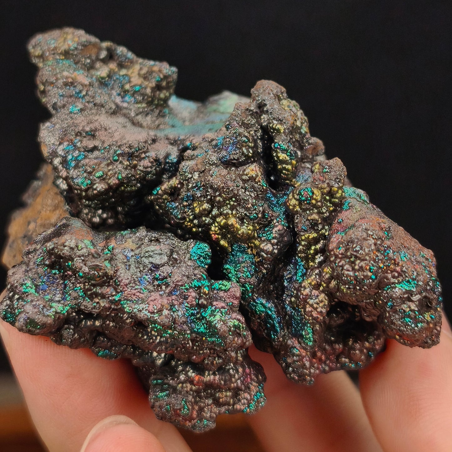 "Premium" Silver Leklai | Silver Shell Intensely Blooming Green, Blue & Gold (Approx. 7*3*5cm) | High-Level Symbiosis | Absolute Magnetic Shielding, Strongly Repelling Toxic People, Career Breakthrough & Wisdom Wealth | Malaysia Leklai