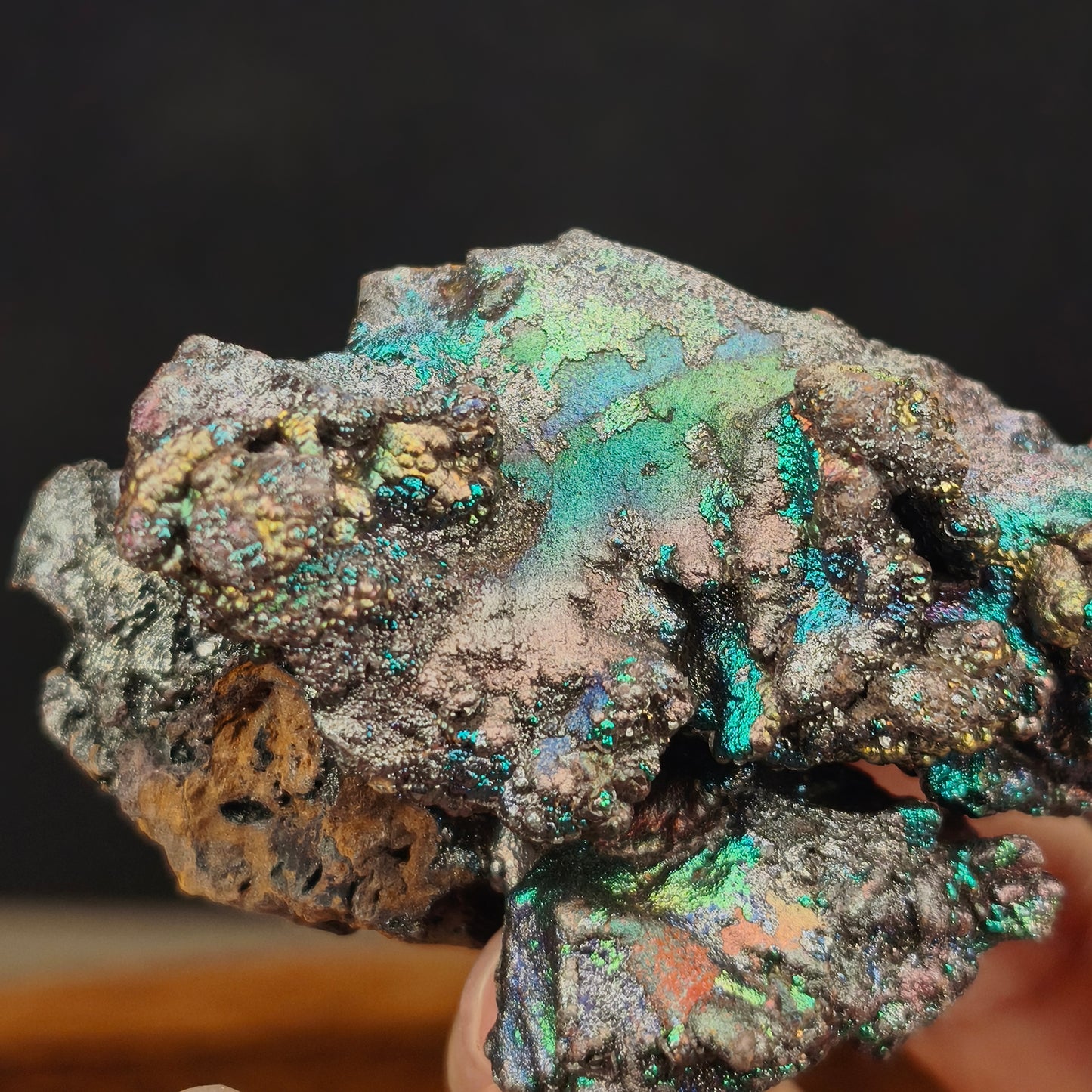"Premium" Silver Leklai | Silver Shell Intensely Blooming Green, Blue & Gold (Approx. 7*3*5cm) | High-Level Symbiosis | Absolute Magnetic Shielding, Strongly Repelling Toxic People, Career Breakthrough & Wisdom Wealth | Malaysia Leklai