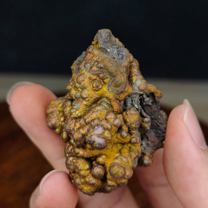 Premium Gold Giant Bead Leklai | Rare Old Mine Gall Core Stone (Approx. 5.5x4cm) | Powerful Wealth Enhancement & Attraction of Abundance | Stable Money Flow, Energy Core Engine | Natural Malaysia Living Stone