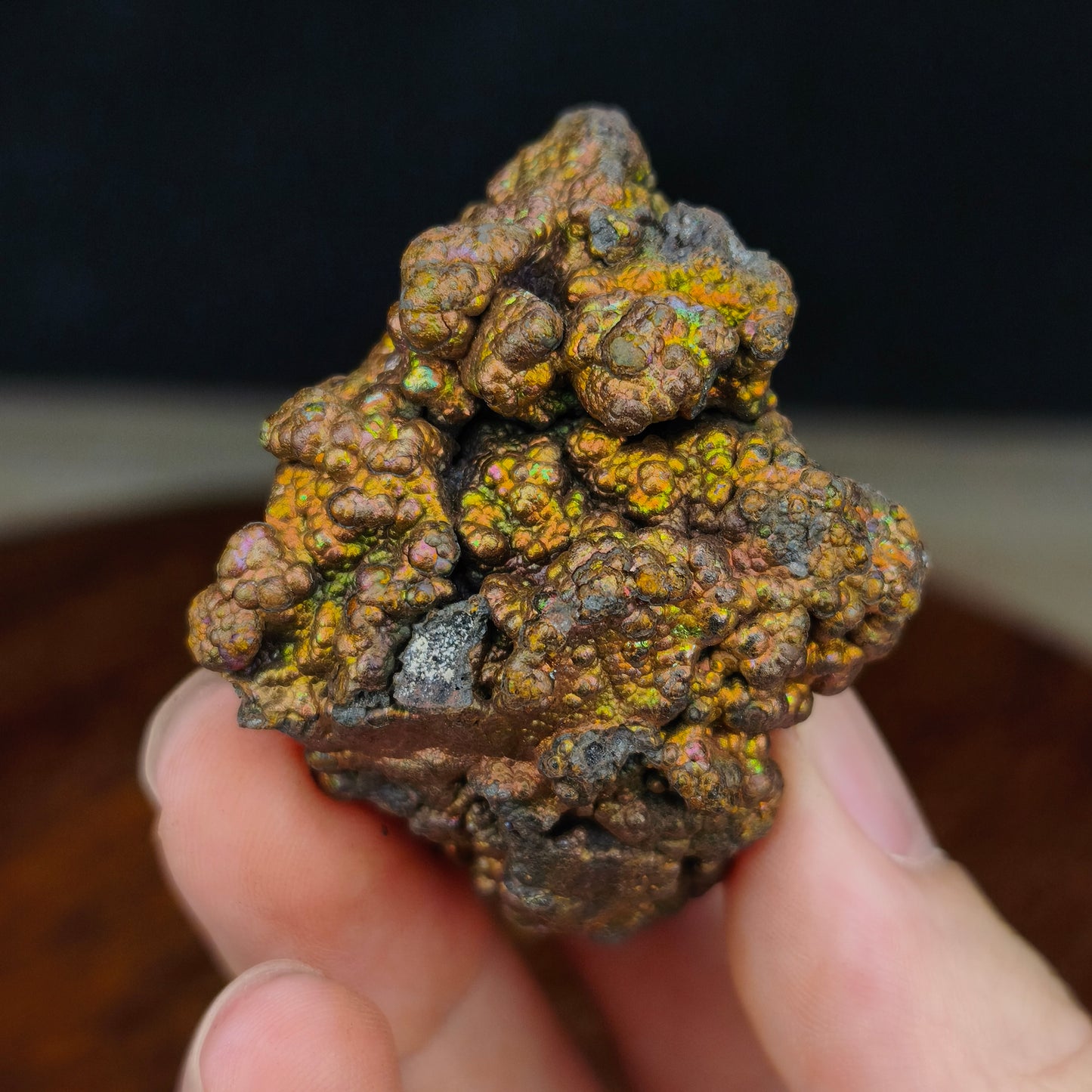 Premium Gold Giant Bead Leklai | Rare Old Mine Gall Core Stone (Approx. 5.5x4cm) | Powerful Wealth Enhancement & Attraction of Abundance | Stable Money Flow, Energy Core Engine | Natural Malaysia Living Stone