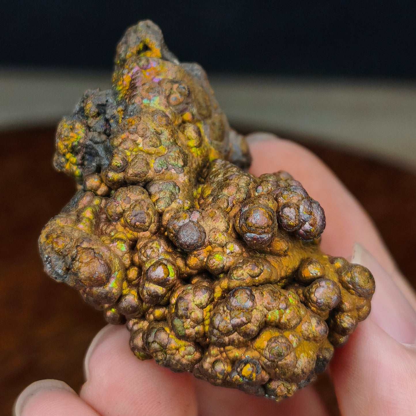 Premium Gold Giant Bead Leklai | Rare Old Mine Gall Core Stone (Approx. 5.5x4cm) | Powerful Wealth Enhancement & Attraction of Abundance | Stable Money Flow, Energy Core Engine | Natural Malaysia Living Stone