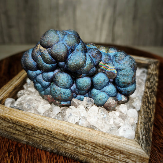 收藏級 超稀有 寶藍色大佛珠 | 靈動小狗造型擺件 | 尾巴隱藏彩虹顯色 | 皇室寶藍系列：最罕見色系 × 極致療癒能量 | 馬來西亞天然能量活石