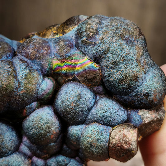 收藏級 超稀有 寶藍色大佛珠 | 靈動小狗造型擺件 | 尾巴隱藏彩虹顯色 | 皇室寶藍系列：最罕見色系 × 極致療癒能量 | 馬來西亞天然能量活石