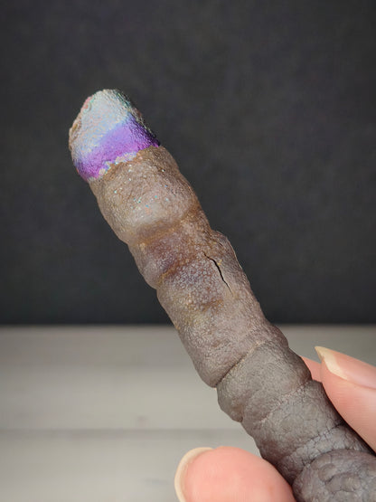 「收藏級」大佛柱 | 超重量級長款精華 (約 高19cm) | 造型：天賜人參 / 魔法權杖 (圓頭) | 極罕見紫藍老礦 | 強力驅逐小人、強效招財、建立防禦保護網 | 馬來西亞力泥