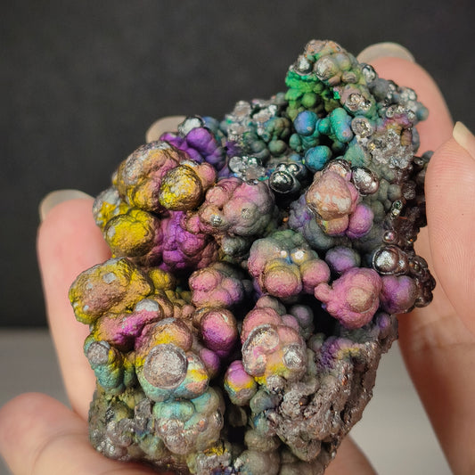 "Premium" Bodhi Bead | Ultimate Masterpiece of Color Bloom (Approx. 7*5*4cm) | Gold, Red, Purple & Green Extreme Symbiosis | Powerful Wealth Attraction, Unshakable Authority & Total Aura Armoring | Malaysia Leklai