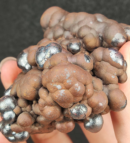 亚噜家大佛珠 | 啡银二色能量胆料 | 稀有“灵犬登峰”造型 (8cm) | 稳固地位根基 | 忠诚守财避邪 | 驱逐是非小人 | 附赠 HARUKA 专属木架