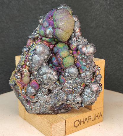 "Top-Grade" Grand Bodhi Bead | 9cm Multicolored Spec | Green, Purple, Gold & Silver Energy Core | Ultimate Success & Protection Anchor | Malaysia Natural Leklai