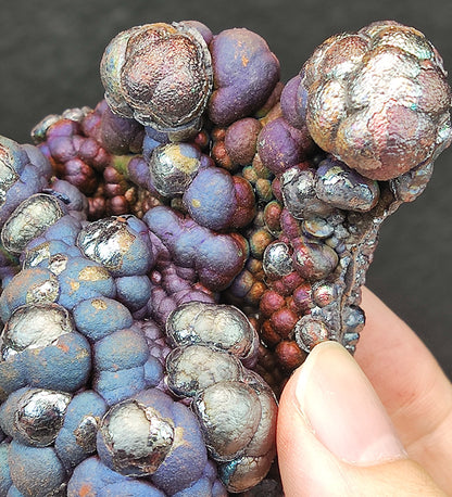 "Top-Grade" Giant Bodhi Bead Core | Rounded Prosperity Shape | Blue & Purple Manifestation | Health, Status & Emotional Stability | Malaysia Natural Leklai