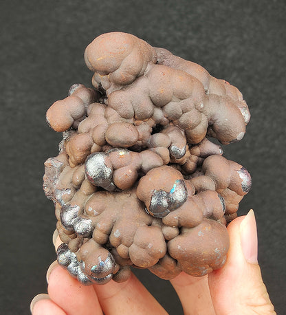 亚噜家大佛珠 | 啡银二色能量胆料 | 稀有“灵犬登峰”造型 (8cm) | 稳固地位根基 | 忠诚守财避邪 | 驱逐是非小人 | 附赠 HARUKA 专属木架