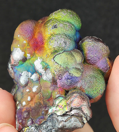 "Collector Grade" 6cm Blue, Gold, Silver & Green Big Buddha Bead | Rare Full-Spectrum Core | Career Expansion & Vitality Shield | Global Legacy Anchor | Includes HARUKA Custom Stand