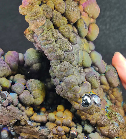 Falcon Form: Haruka Buddha Beads | 1.55kg Heavyweight Grand Display | Rare Pink, Purple, Gold, Green & Silver Manifestation | Supreme Authority & Precise Decision-Making | Malaysia Leklai