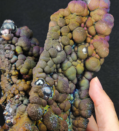 Falcon Form: Haruka Buddha Beads | 1.55kg Heavyweight Grand Display | Rare Pink, Purple, Gold, Green & Silver Manifestation | Supreme Authority & Precise Decision-Making | Malaysia Leklai