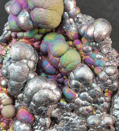 "Top-Grade" Grand Bodhi Bead | 9cm Multicolored Spec | Green, Purple, Gold & Silver Energy Core | Ultimate Success & Protection Anchor | Malaysia Natural Leklai