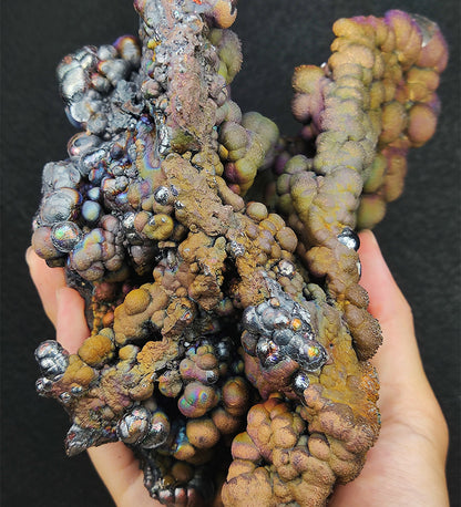 Falcon Form: Haruka Buddha Beads | 1.55kg Heavyweight Grand Display | Rare Pink, Purple, Gold, Green & Silver Manifestation | Supreme Authority & Precise Decision-Making | Malaysia Leklai