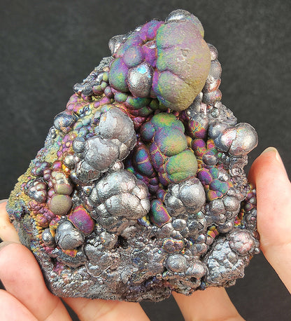 "Top-Grade" Grand Bodhi Bead | 9cm Multicolored Spec | Green, Purple, Gold & Silver Energy Core | Ultimate Success & Protection Anchor | Malaysia Natural Leklai
