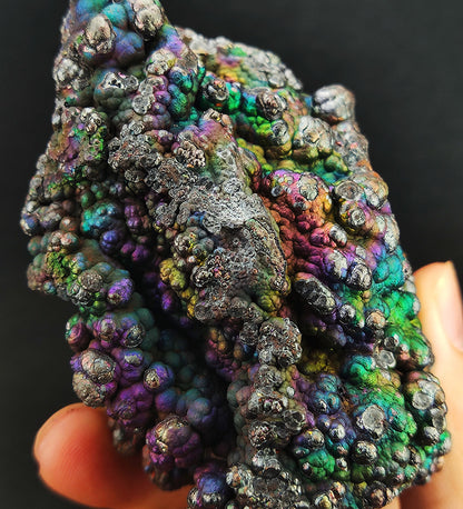 "Top Grade" Peak Color Bodhi Bead | Silver, Purple, Blue & Green Spectrum | Peak Career Pattern, High-Dimensional Healing & Absolute Protection | Rare Beaded Aged Core | Malaysia Leklai