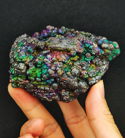 "Top Grade" Peak Color Bodhi Bead | Silver, Purple, Blue & Green Spectrum | Peak Career Pattern, High-Dimensional Healing & Absolute Protection | Rare Beaded Aged Core | Malaysia Leklai