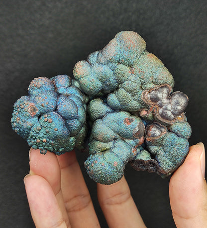 Top Grade | Sacred Beast Shape Haruka Buddha Bead | Rare Blue, Silver & Green | Calm Decision Making & Protection | Malaysia Leklai