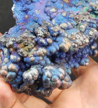 「收藏級」雙面深海藍馬來西亞力泥大佛珠擺件 | 稀有膽料 ｜ 健康與情緒修復之石 ｜ 掃除是非屏障 ｜ 穩定事業版圖氣場 ｜ 附贈 HARUKA 專屬木架