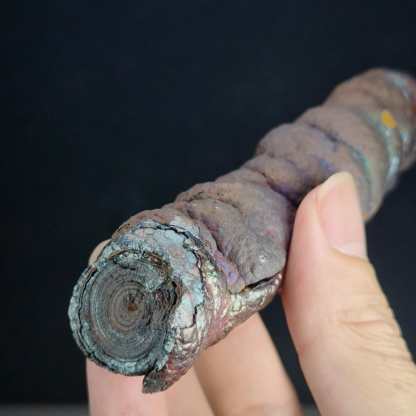「頂級」大佛柱 (姥姥級老礦) | 重量級能量精華 (高約 11.5*2cm) | 稀有深紫老料顯化 | 地位穩固、權威守護、掃除強大小人與深層氣場武裝 | 馬來西亞力泥