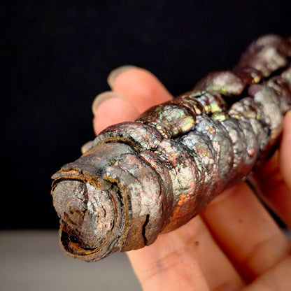 「收藏級」大佛柱 | 重量級粗壯精華 (約 15*4cm) | 金、綠、粉三色高階共生 | 強力招財、穩固基業、貴人扶持與全方位氣場武裝 | 馬來西亞力泥