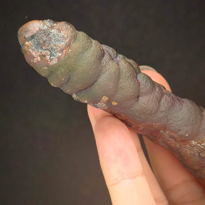 「頂級」大佛柱 (造型：宇宙簽約筆) | 姥姥殼老老礦 (高約 14.5*2cm) | 稀有深紫、粉色共生顯化 | 與宇宙簽約、地位權威、招貴人與全方位氣場修復 | 馬來西亞力泥
