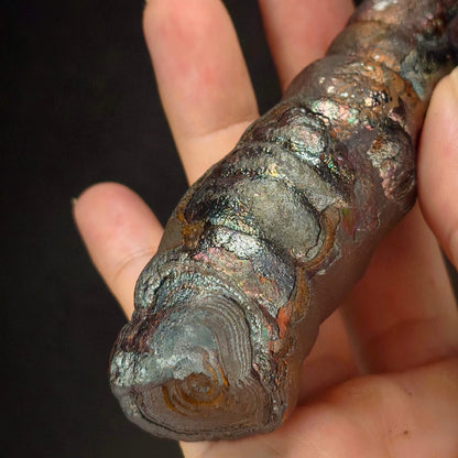 「頂級」大佛柱 (造型：宇宙簽約筆) | 姥姥殼老老礦 (高約 14.5*2cm) | 稀有深紫、粉色共生顯化 | 與宇宙簽約、地位權威、招貴人與全方位氣場修復 | 馬來西亞力泥
