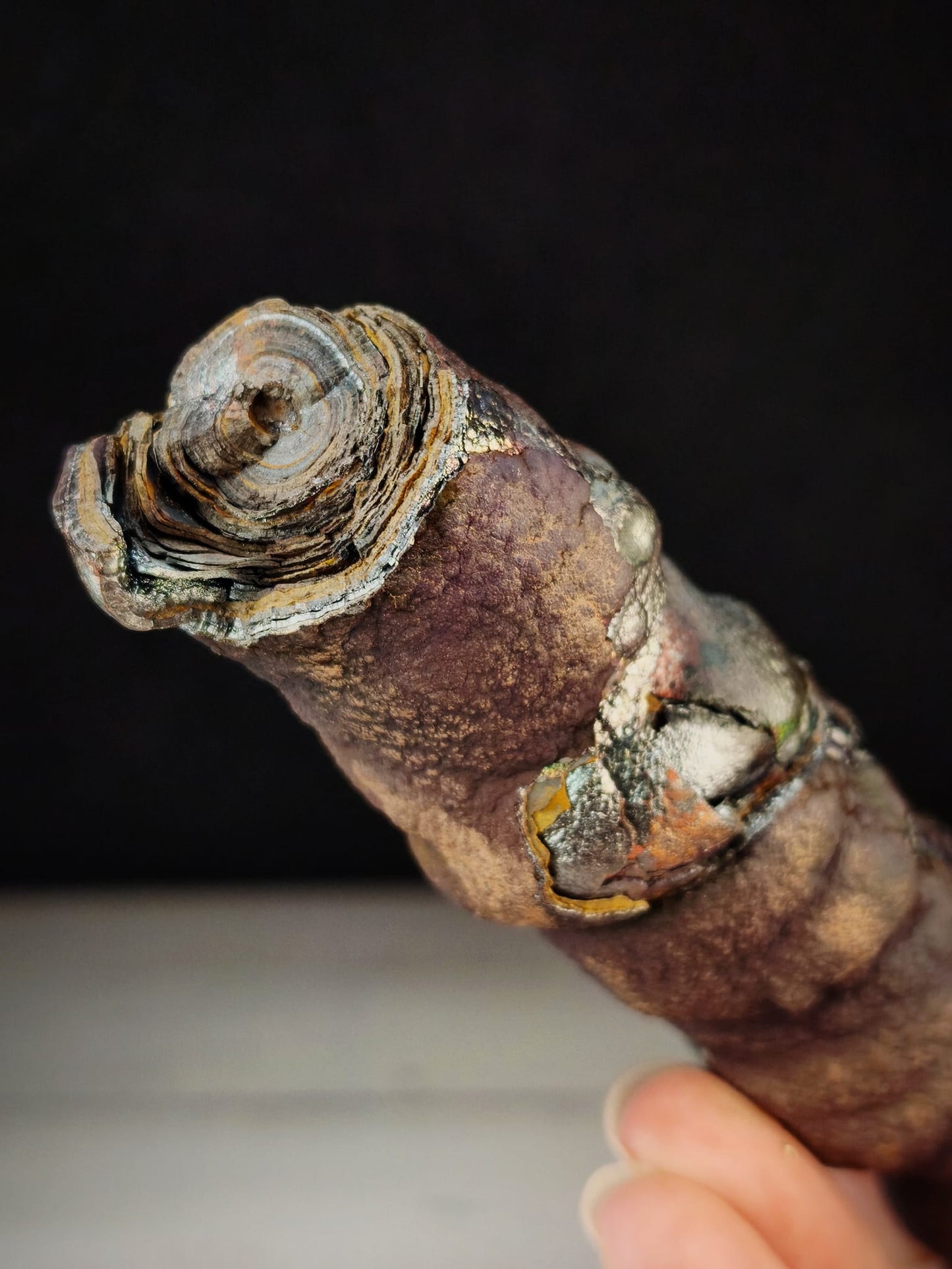 頂級老礦大佛柱｜天然力泥活石｜14.5×2.5cm 粗壯規格｜紫色・老殼・彩虹共生｜Leklai Goethite