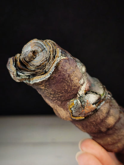 頂級老礦大佛柱｜天然力泥活石｜14.5×2.5cm 粗壯規格｜紫色・老殼・彩虹共生｜Leklai Goethite
