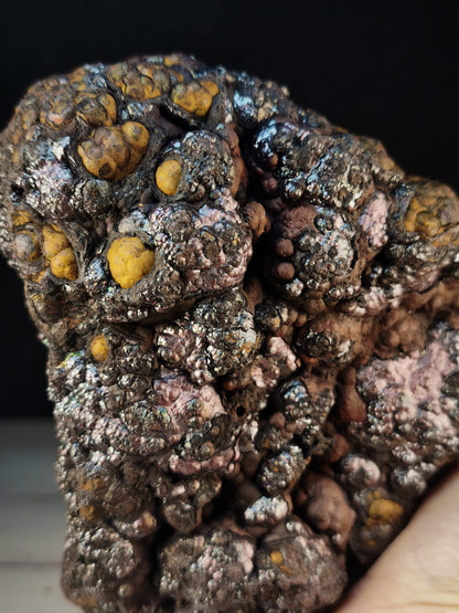 頂級醒仔膽｜大靠山造型｜銀金雙色｜力泥活石｜Leklai Iridescent Goethite