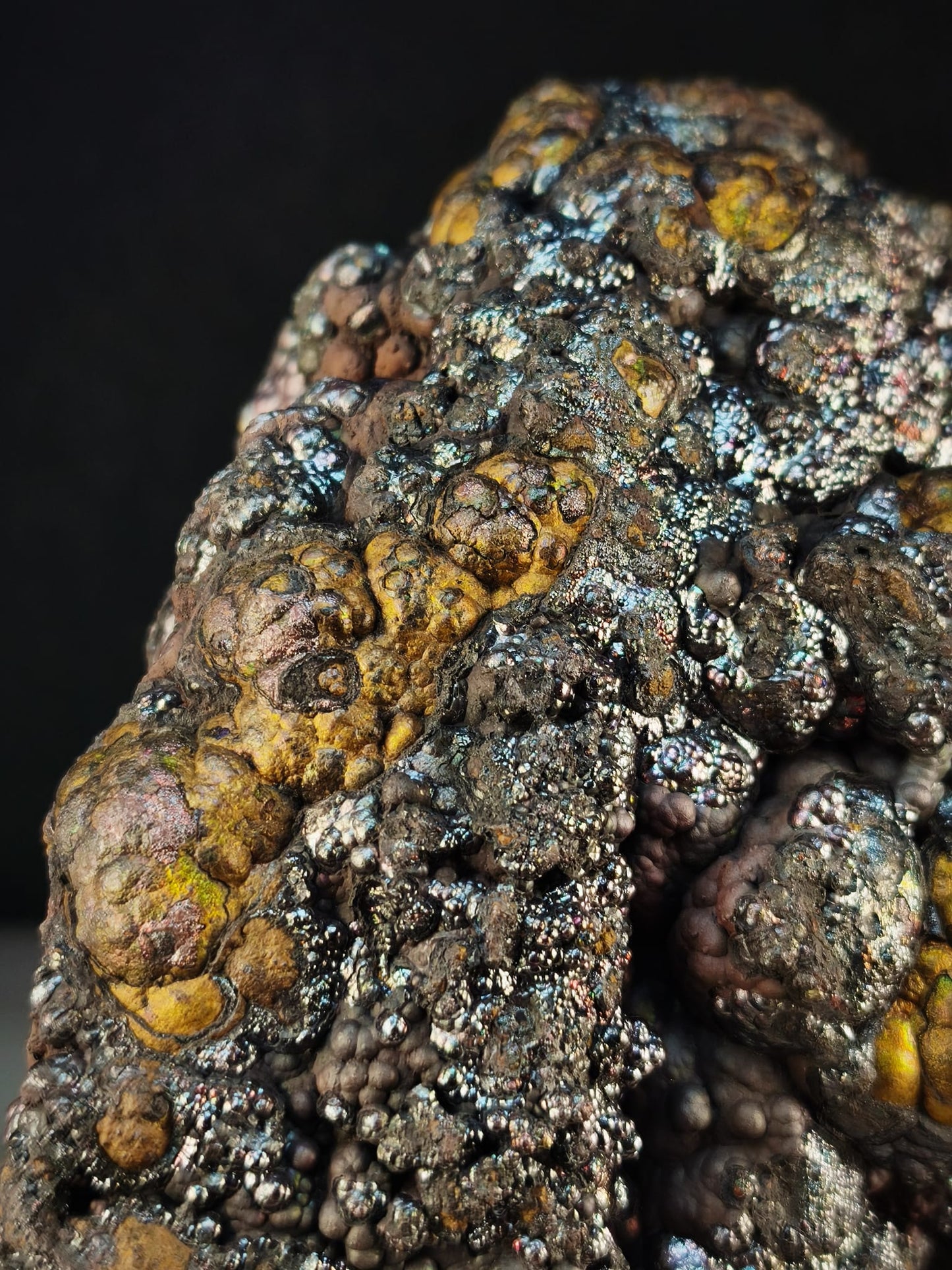 頂級醒仔膽｜大靠山造型｜銀金雙色｜力泥活石｜Leklai Iridescent Goethite