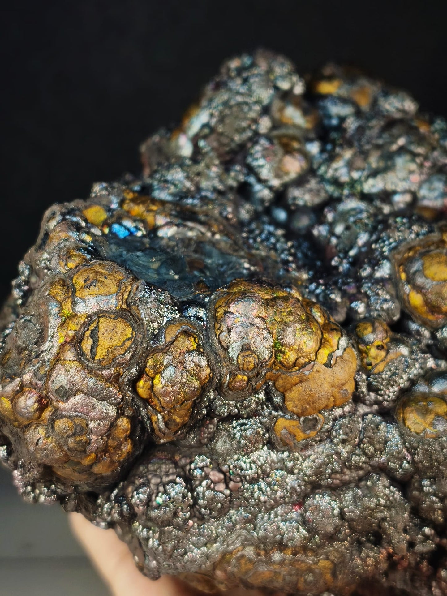 頂級醒仔膽｜大靠山造型｜銀金雙色｜力泥活石｜Leklai Iridescent Goethite