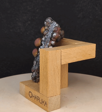 "Top-Grade" Gold & Red Double-Sided Bodhi Bead | 7cm Grand Spec | Deep Blue-Purple Core | Wealth, Luck & Wisdom Powerhouse | Malaysia Natural Leklai